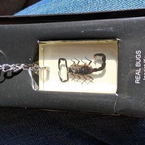 Scorpion Key Ring
